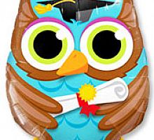 Шар Сова Выпускник 75см