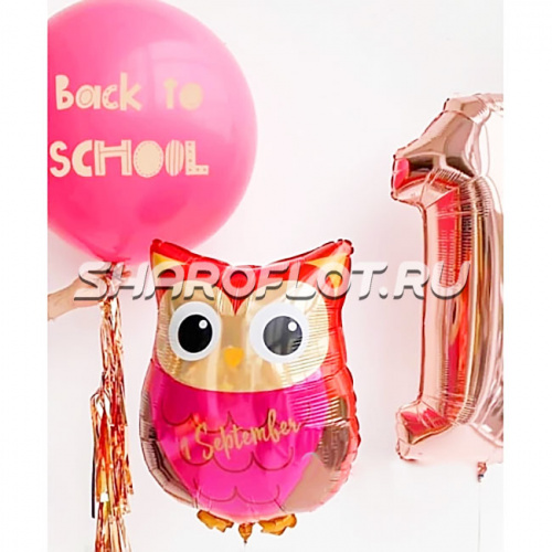 Композиция шариков С Днем Знаний Композиция шариков С Днем Знаний