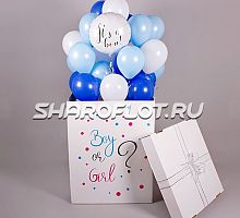 Коробка-сюрприз Родится Парень