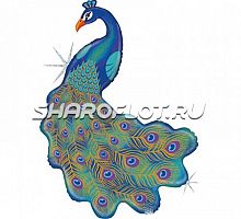 Шар Павлин блестящий 100см