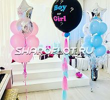 Оформление Boy or Girl