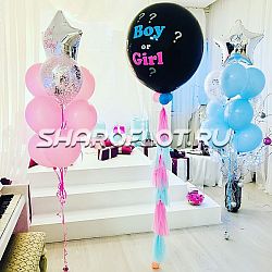 Оформление Boy or Girl