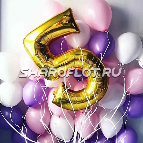 Шары на 5 лет №24
