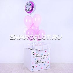 Коробка сюрприз Мальчик или Девочка