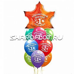 Сет шаров - Здравствуй школа