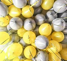 Шары Желтые Серые 30см