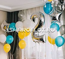 Шары на 2 года №06