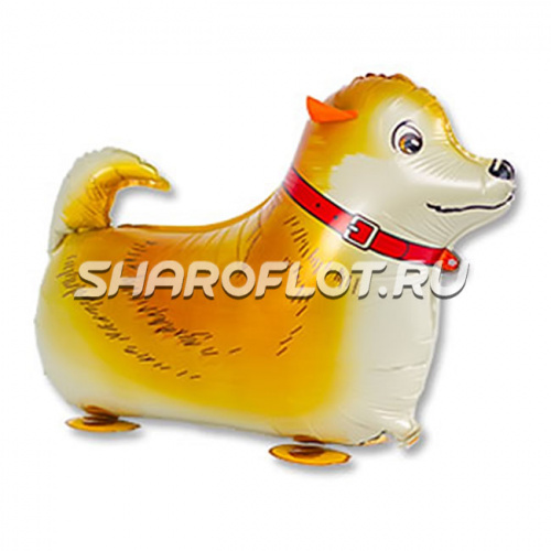 Ходячий шар Собака Рыжая 50см