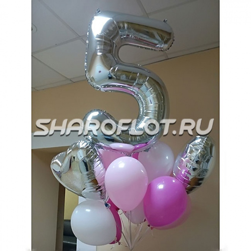 Шары на 5 лет №20