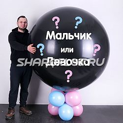 Шар-Сюрприз Мальчик или Девочка Гигант 150см