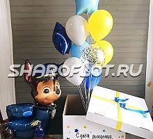 Подарок-сюрприз от щенка Чейза