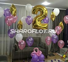 Шары на 2 года №09