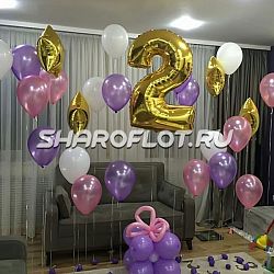 Шары на 2 года №09