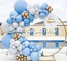 Арка небеса