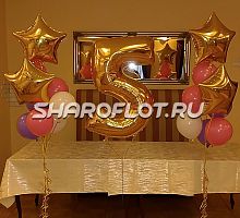 Шары на 5 лет №14