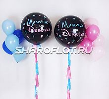 Набор-сюрприз Если у вас Двойня