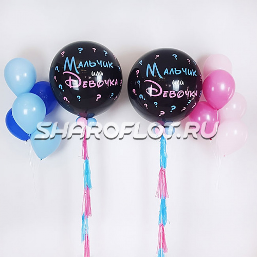 Набор-сюрприз Если у вас Двойня