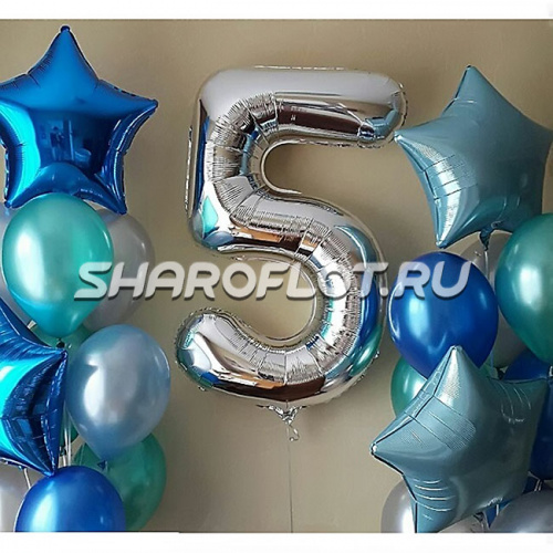 Шары на 5 лет №32