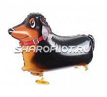 Ходячий шар «Собака Такса» 61см