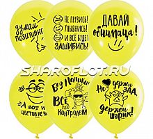 Шарики Все будет зашибись, 30см