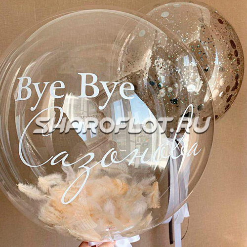 Прозрачный шар "Пока фамилия" Прозрачный шар "Пока фамилия"