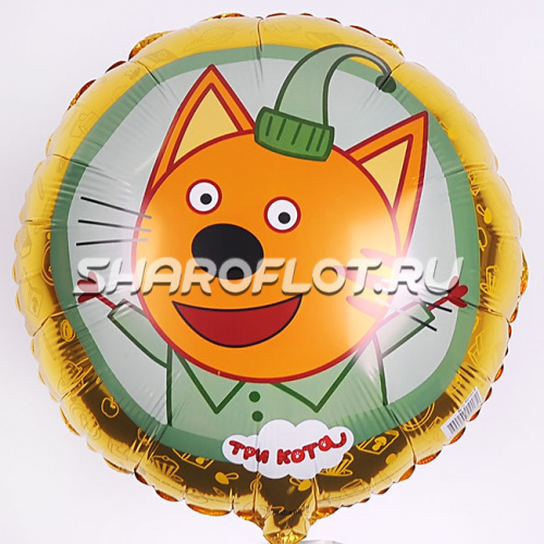 Шар Круг Компот 40см