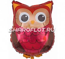 Шар Совенок 60см