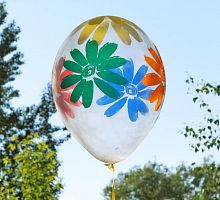 Прозрачные шары с цветами Ромашки 30см