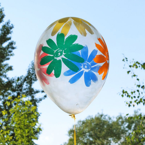 Прозрачные шары с цветами Ромашки 30см