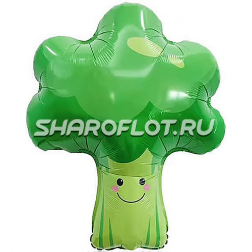 Шар Брокколи 65см