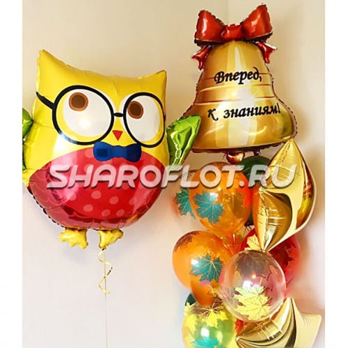 Шары с Филином Вперед к знаниям