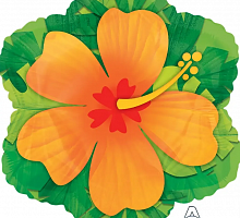 Шар Гибискус 60см