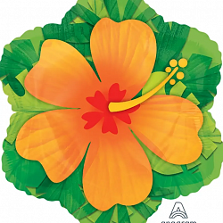 Шар Гибискус 60см