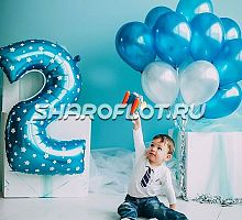 Шары на 2 года №08
