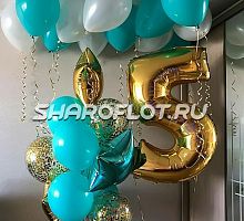 Шары на 5 лет №27
