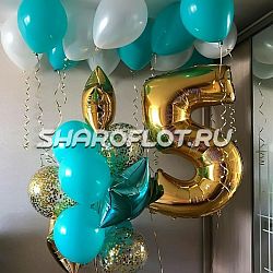 Шары на 5 лет №27