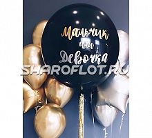 Воздушный сет  Мальчик или Девочка золото/серебро