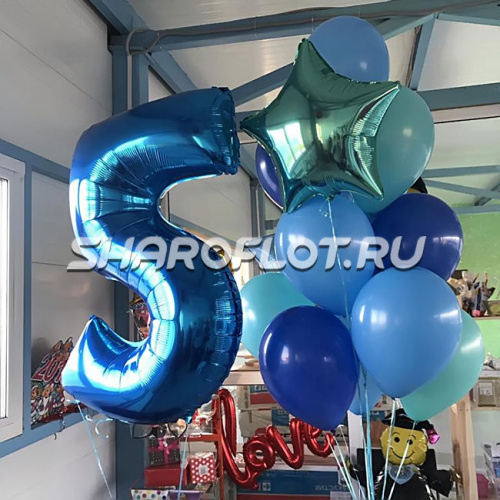 Шары на 5 лет №26