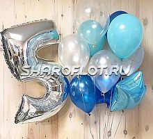 Шары на 5 лет №31