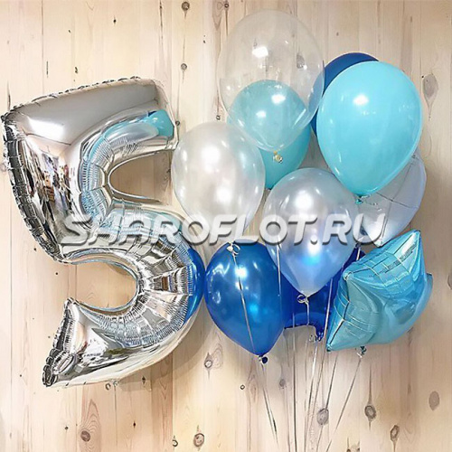 Шары на 5 лет №31