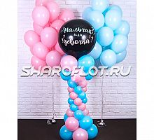 Стойка и 40 шаров на гендерную пати