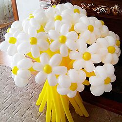 Цветы из шаров, Ромашки сочность