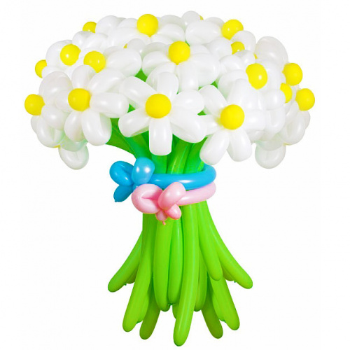 Цветы из шаров, Ромашки белые